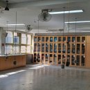 은평중학교 이미지