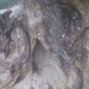 통나무펜션 이미지