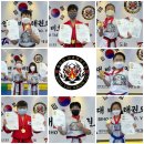 비호태권도장 이미지