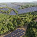 순태양광발전소 이미지