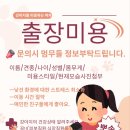 강아지를 미용하는 여자 이미지