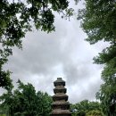 고사리곡 이미지