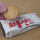 (주)스템랩 | [일상] 6월 시작하자마자 기 다 빨린 | 6월 1주차 2주차
