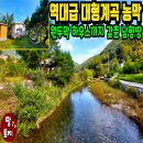 여주-0510 네이버블로그
