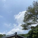 하우스684