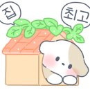 케이독 ST 이미지