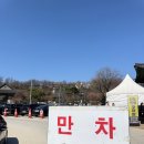 봉은테니스장 | 봉은사 홍매화 3월 19일 기준 실시간 만개 개화 상황 주차 정보