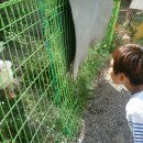 화산스파랜드 이미지