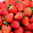 딸기 이미지