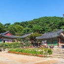 제주 정광사 소조미륵여래입상 이미지