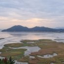 순천만습지 이미지