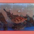 창훈수산 이미지