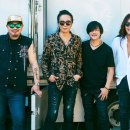 부활 레전드 콘서트 이미지