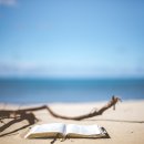 스크린도둑 | 오늘의 책 추천 : 요한 하리 &lt;도둑맞은 집중&gt; 심리책 이야기