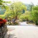 계명산자연휴양림 이미지