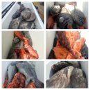 피쉬헌터 이미지