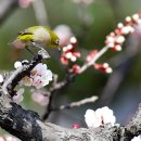 김해건설공업고등학교 이미지