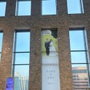 웰컴펠리스 | 시청역 오펠리스 웨딩홀 상담 후기｜밥펠리스 · 단독홀 · 당일계약 혜택 솔직정리 (27년 1월 견적공유)