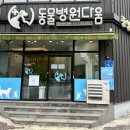 다움동물병원