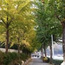 갤러리빌 8차 이미지