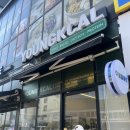 샐러드점보 | 청주 강서동 포케 맛집 영칼로리포케&샐러드 우삼겹포케 점보사이즈 솔직후기