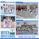 용인대 금호태권도 이미지