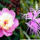 산사랑팬션 이미지