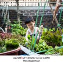 준영농장 이미지