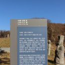 이재 선생 묘 | 용인시 천리 향토유산 조선 후기 유학자 이재 선생 묘