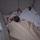 (주)유인케어 | 039. 이유식 준비와 연말 모임들로 바쁘디 바빴던 한 주 🎄💨