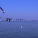 맑음약국 앞 이미지