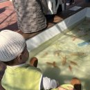 퍼스트 | 파주 두돌아기랑 주말 나들이 추천 퍼스트가든 솔직 후기