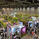 제11회 브런치콘서트 | ✈️ 제11회 대한민국 국제 관광박람회 KITS 2026 -국내외 여행의 모든 것을 한자리에서! 🌍