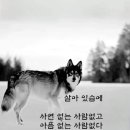 고고장구 이미지