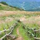 민둥산 850 전망대 이미지