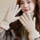 예산장갑 이미지