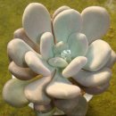 월미농장 이미지