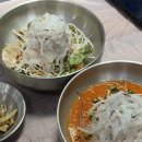 완도회식당 | [속초 맛집] 인생 산오징어회덮밥 &amp; 반반물회 조합! 완도회식당 내돈내산 후기