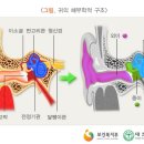 소리청고려한의원 네이버블로그
