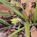 보성주차장 이미지