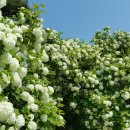 오월골프클럽 이미지