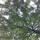 아이넷한의원 이미지