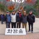 LG장식꾸밈장식