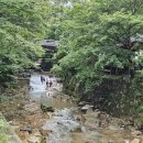 카페릴렉스