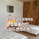 호텔홀라인 | 청주 대청호 감성숙소 추천 호텔홀라인 미드센추리 이용 후기