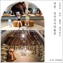 연천 가볼만한곳 무료로 초등학생 아이랑 만족도 높은 체험학습 할 수 있었던 전곡선사박물관 후기