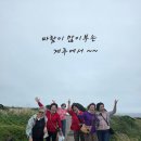 제주언니투어 | 택시관광 고민하다 이용한 제주 카니발 투어 솔직후기