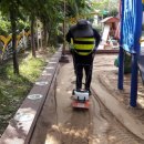 오송초교 병설유치원 이미지