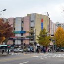 송파중앙약국 | 송파구미용실 잠실염색전문태후사랑 저자극 염색, 헤어팩, 두피스케일링 세트 후기