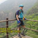 경기 의수족 보조기 네이버블로그
